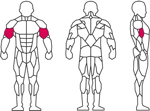 トレーニング部位説明